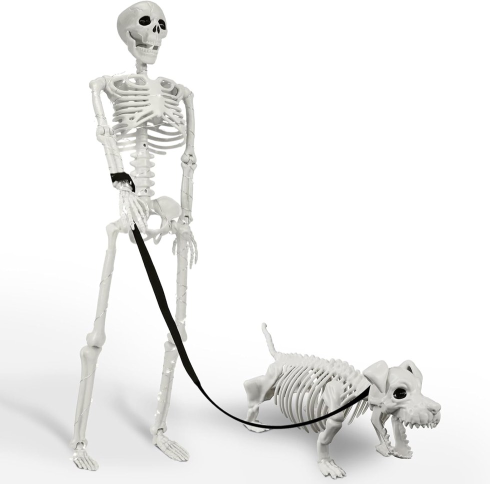 Lighted Human & Dog Skeleton, 36 Inch, Posable